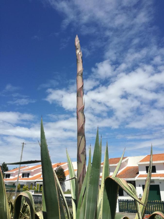 Casa Praia E Ria Torreira Exterior foto